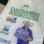 bolsa tnt sublimada