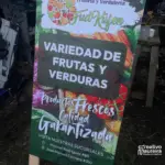 paloma publicitaria